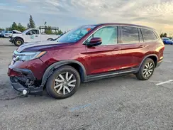 5FNYF5H35KB045646 2019 HONDA PILOT