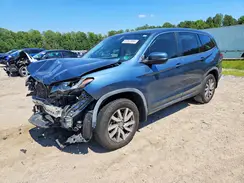 5FNYF5H35KB046585 2019 HONDA PILOT