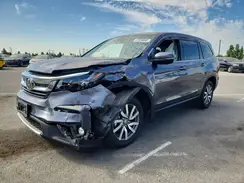 5FNYF5H37LB026646 2020 HONDA PILOT