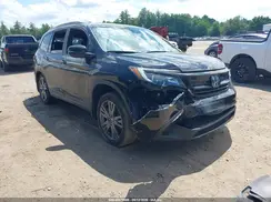 5FNYF5H37NB019196 2022 HONDA PILOT