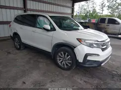 5FNYF5H38KB008087 2019 HONDA PILOT