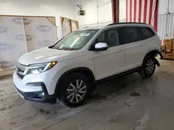 5FNYF5H38KB012818 2019 HONDA PILOT