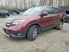 5FNYF5H38MB029816 2021 HONDA PILOT
