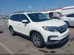 5FNYF5H49KB011556 2019 HONDA PILOT