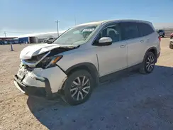 5FNYF5H4XKB013302 2019 HONDA PILOT