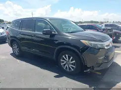 5FNYF5H50KB018677 2019 HONDA PILOT