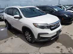 5FNYF5H50KB039951 2019 HONDA PILOT