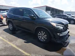 5FNYF5H50KB041554 2019 HONDA PILOT