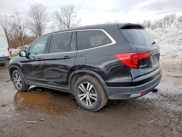 5FNYF5H51GB046589 2016 HONDA PILOT - Image 2