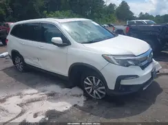 5FNYF5H51KB008630 2019 HONDA PILOT