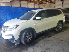 5FNYF5H51KB012533 2019 HONDA PILOT