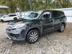 5FNYF5H51KB018185 2019 HONDA PILOT