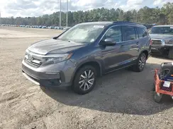 5FNYF5H51KB022236 2019 HONDA PILOT