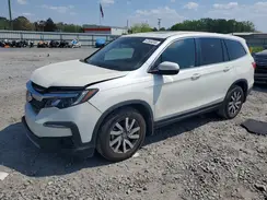 5FNYF5H51KB023869 2019 HONDA PILOT