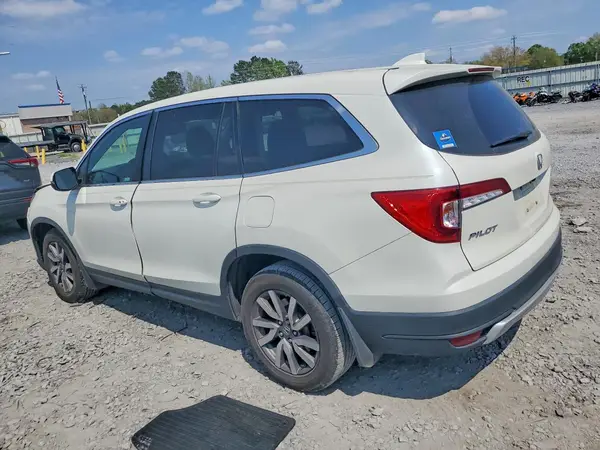 5FNYF5H51KB023869 2019 HONDA PILOT - Image 2