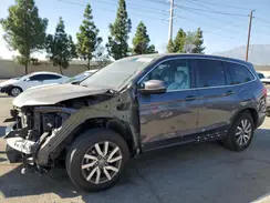 5FNYF5H51KB038789 2019 HONDA PILOT