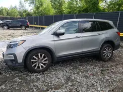 5FNYF5H51KB041921 2019 HONDA PILOT