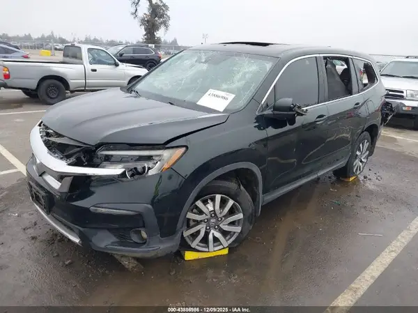 5FNYF5H51KB042129 2019 HONDA PILOT - Image 2