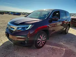5FNYF5H51LB007446 2020 HONDA PILOT