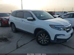 5FNYF5H51MB037404 2021 HONDA PILOT