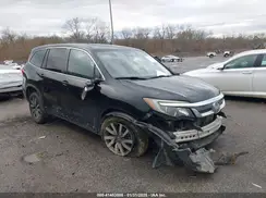 5FNYF5H52KB016445 2019 HONDA PILOT