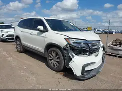 5FNYF5H52KB033195 2019 HONDA PILOT