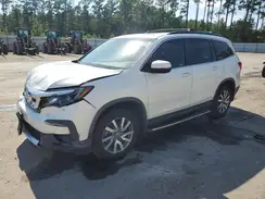 5FNYF5H52KB040230 2019 HONDA PILOT
