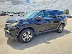 5FNYF5H53HB010159 2017 HONDA PILOT