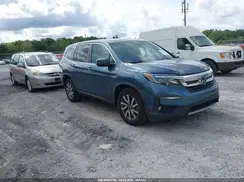 5FNYF5H53KB010556 2019 HONDA PILOT