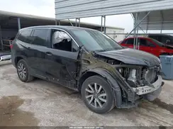 5FNYF5H53KB019113 2019 HONDA PILOT