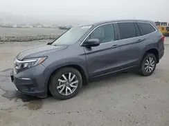 5FNYF5H53KB024781 2019 HONDA PILOT