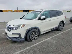 5FNYF5H53KB027034 2019 HONDA PILOT