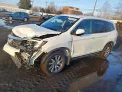 5FNYF5H54KB022070 2019 HONDA PILOT