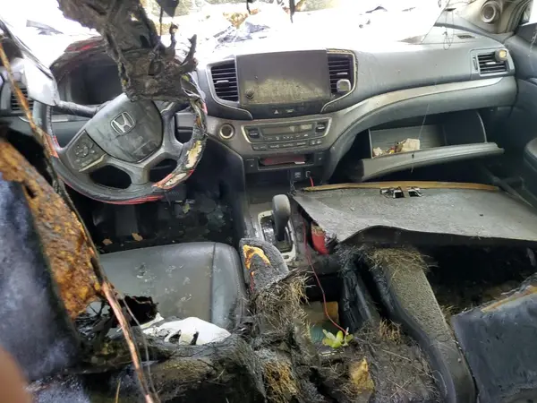 5FNYF5H54KB046997 2019 HONDA PILOT - Image 8