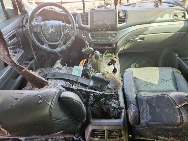5FNYF5H55JB024246 2018 HONDA PILOT - Image 8