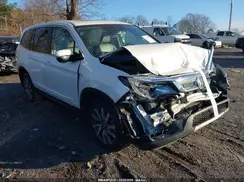 5FNYF5H55KB004130 2019 HONDA PILOT