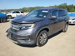 5FNYF5H55KB021087 2019 HONDA PILOT