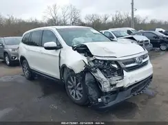 5FNYF5H55KB027729 2019 HONDA PILOT