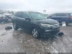 5FNYF5H56GB031831 2016 HONDA PILOT