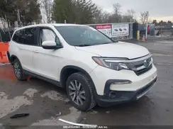 5FNYF5H56KB013046 2019 HONDA PILOT