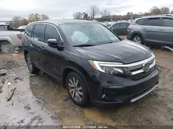 5FNYF5H56KB016304 2019 HONDA PILOT