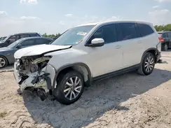 5FNYF5H56KB020126 2019 HONDA PILOT