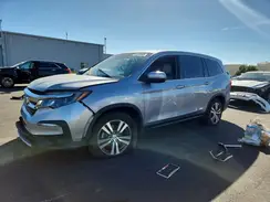 5FNYF5H56KB023981 2019 HONDA PILOT