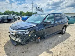 5FNYF5H56KB025262 2019 HONDA PILOT