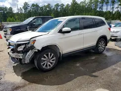 5FNYF5H56KB035788 2019 HONDA PILOT
