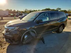 5FNYF5H56KB036486 2019 HONDA PILOT