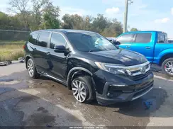 5FNYF5H56KB043051 2019 HONDA PILOT