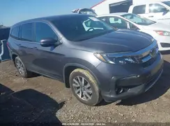 5FNYF5H56LB003196 2020 HONDA PILOT