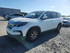 5FNYF5H56LB006681 2020 HONDA PILOT