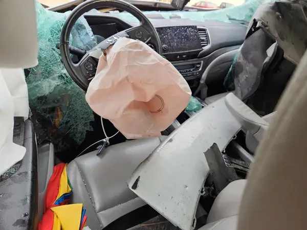 5FNYF5H56LB010388 2020 HONDA PILOT - Image 8